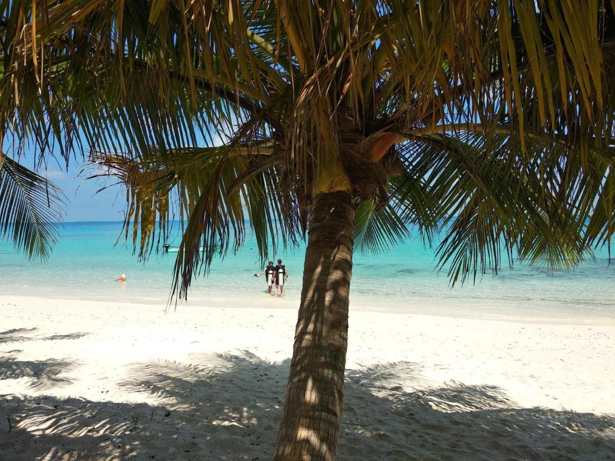 Dhigurah Beach Inn Eksteriør bilde